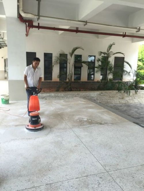 專業清潔與除四害服務 打造健康潔凈的生活與工作環境